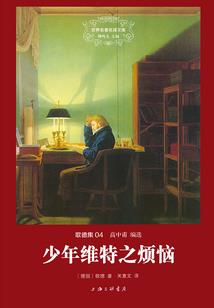 海贼王之为父传奇