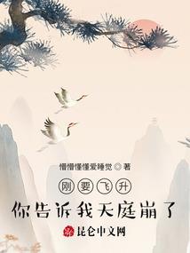 小明盗墓不倒斗
