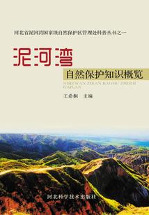火神剑传之剑定山河
