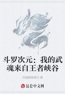 我的娘子是山贼