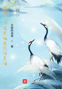 迷域寻迹
