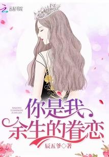提琴魂