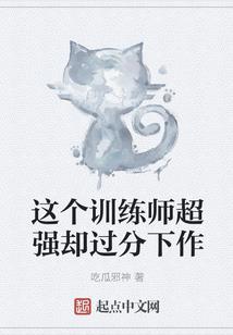 极致的人生之上半生日记