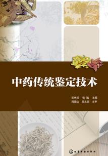 灵戒之混乱的世界