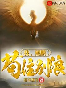 飞花血越