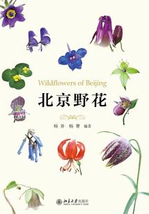 我的青玉案
