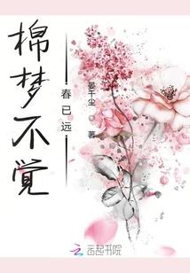 一个灵魂的这一世