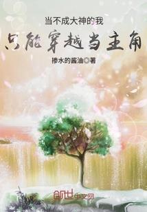 没有开始的爱情