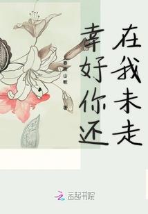 仙侣侠影传