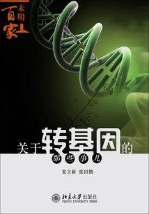 洪荒火凤