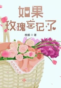 龙之谜岚外传玖天遗梦剑