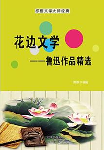 孪生姐妹的夺子大战