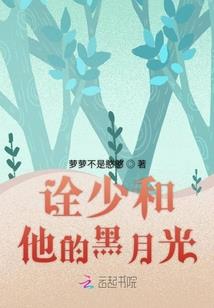 幻术师鸿鹄传