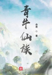 完美骑士系统