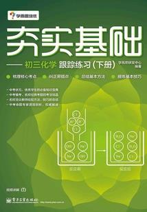 孤单少女成长记