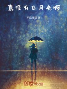 冷面皇妃之玄坤幻影