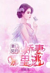 我以气运镇仙朝