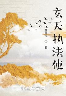 宠物小精灵之小风