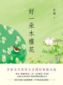 雾海孤岛