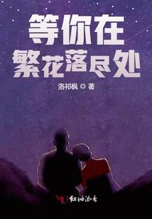 网络围棋江湖录
