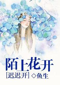 情归于尽皆为你