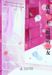 御兽宝可梦，我最后的希望