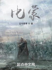 假面骑士圣骑无双