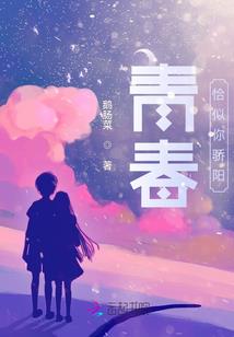 肥哥的一生