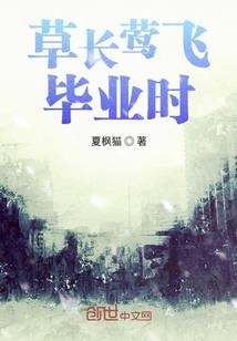 总统大人来官宣
