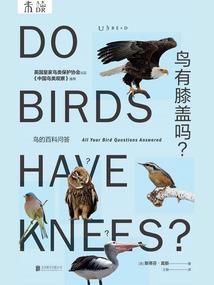 与你行至天光
