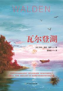 岳飞重生异世
