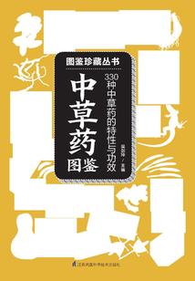 亡灵创世