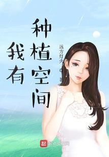 那年青春撒的谎