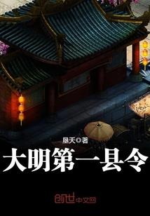 神奇宝贝之格斗与火天王