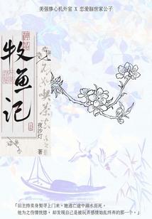 妖孽炼金师