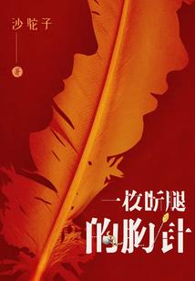 火种故事