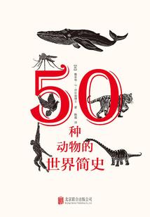 波式江湖生活
