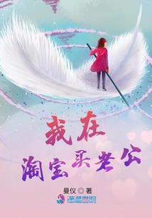 大宋驸马爷