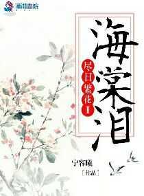 神奇宝贝之梦
