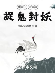 七九花开