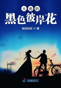 南有乔木，北有佳人