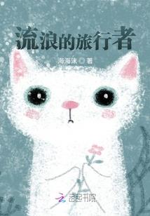 穿越成多个马甲的帝王