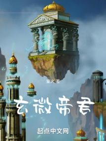 星光陨落的流年
