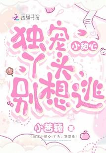 送自由