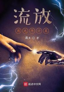 冰山王爷无良妃