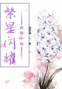 傻王倾城妃