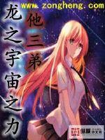 谜梦碎