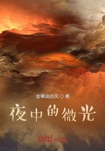 九狐