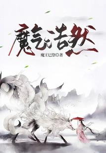 殇狐之语