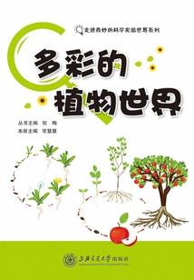 民俗：开局大婚，新娘脱下画皮